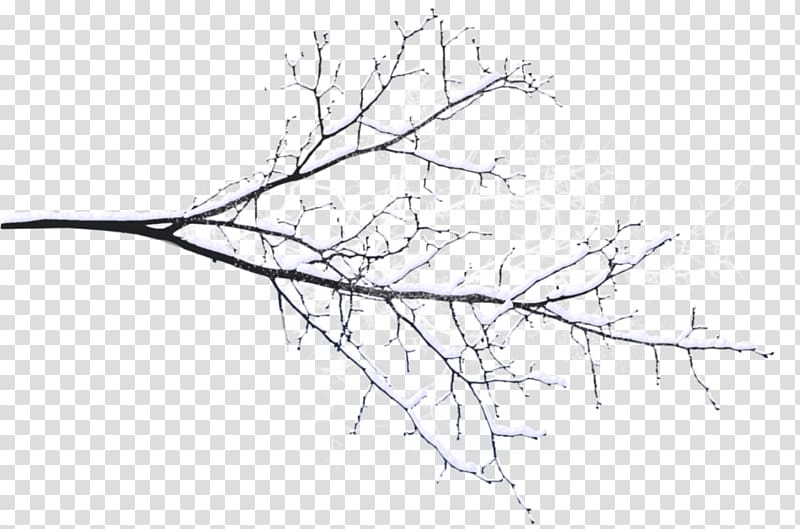 Branch Tree Twig Snow, branches transparent background PNG clipart