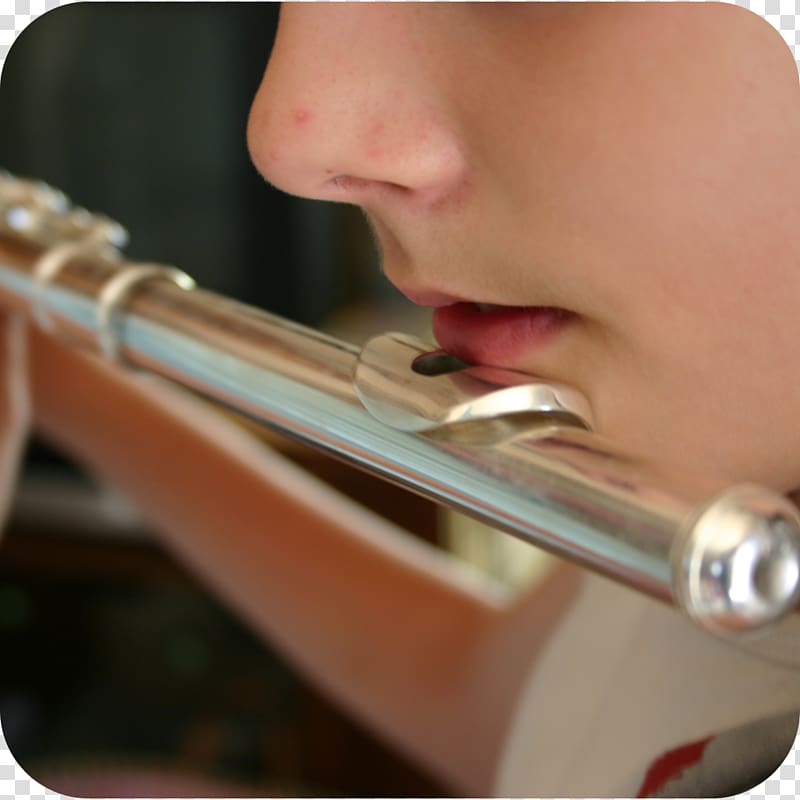 Western concert flute Music Wind instrument Fife, Flute transparent background PNG clipart