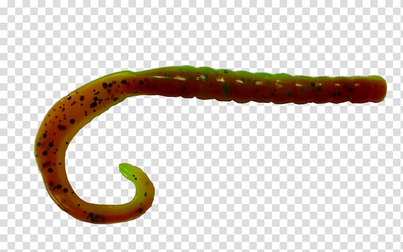 Plastic worm Soft plastic bait Fishing Baits & Lures, Fishing transparent background PNG clipart