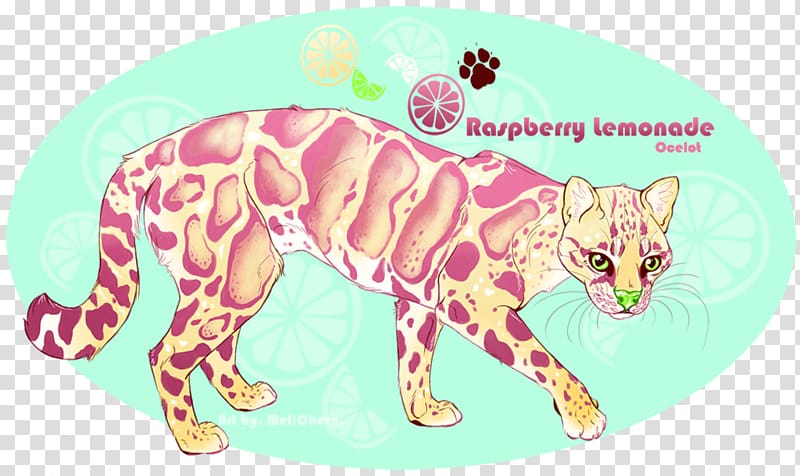 Whiskers Tiger Cat Fauna, raspberry lemonade transparent background PNG clipart