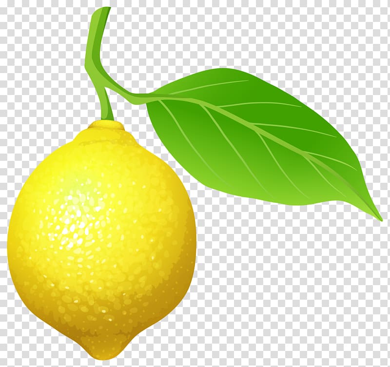 Variegated pink lemon , others transparent background PNG clipart