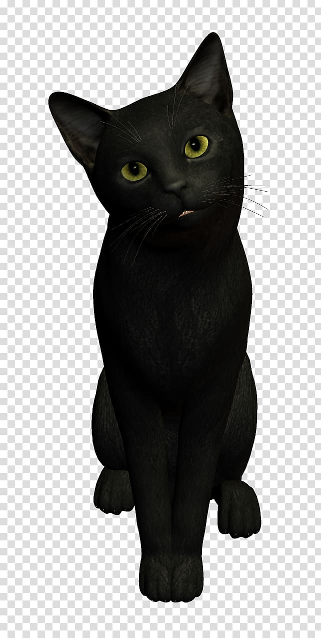 Black cat Dog, Meng cat transparent background PNG clipart