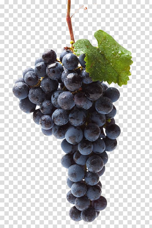 Black Muscat Food Raisin Table grape, Grape Seed Extract transparent background PNG clipart