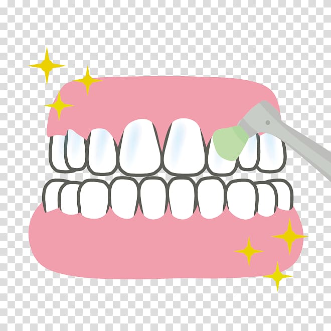 Tooth Dentures Dentist 歯科 Dental plaque, Teeth Cleaning Twig transparent background PNG clipart