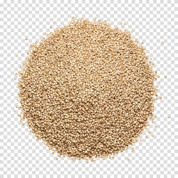 Cat Food Ingredient Seasoning Beer, beer transparent background PNG clipart