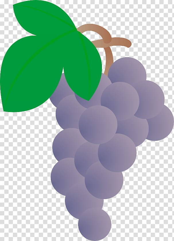 Grape Drawing Cartoon, Cartoon grapes transparent background PNG clipart