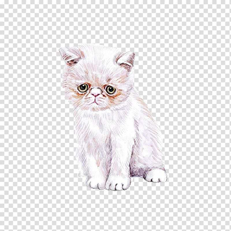 Cat Kitten Watercolor painting Cuteness, Hand painted watercolor cute cat transparent background PNG clipart