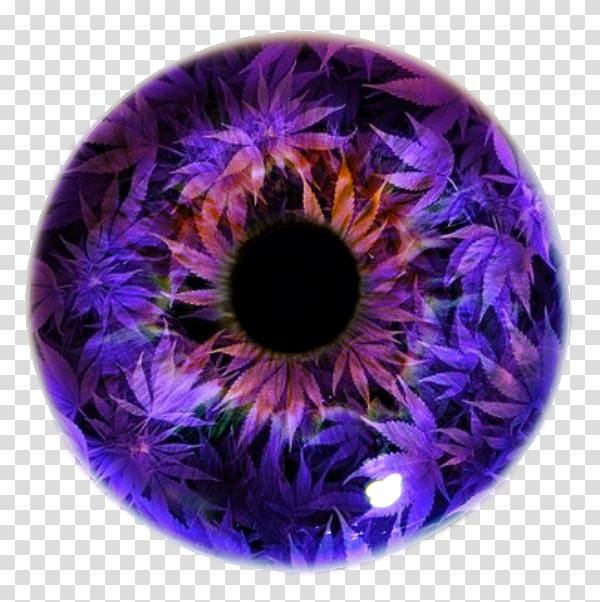 Iris Eye Pupil Violet Lens, Eye transparent background PNG clipart