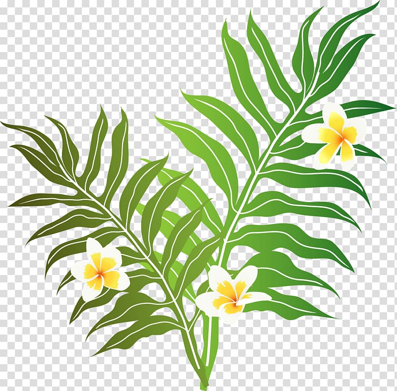 Music of Hawaii Cut flowers, tropic transparent background PNG clipart