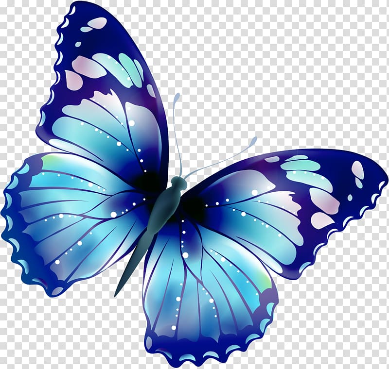 Butterfly , watercolor butterfly transparent background PNG clipart