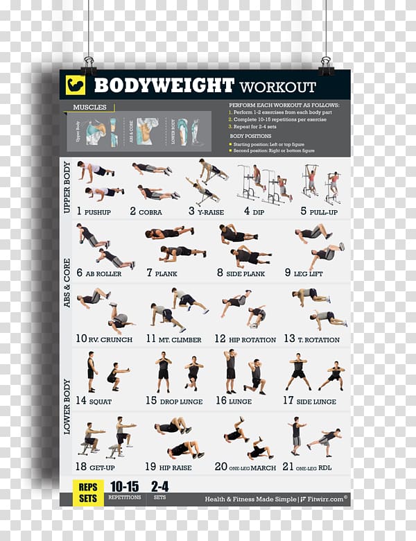 Bodyweight exercise General fitness training Exercise Balls Strength training, Fitness Posters transparent background PNG clipart