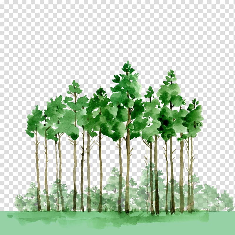 green trees illustration, Watercolor painting Oil paint Drawing, green forest transparent background PNG clipart