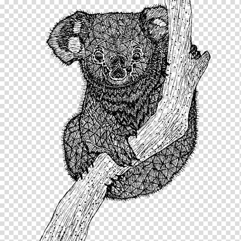 Koala T-shirt Drawing Sketch, koala transparent background PNG clipart