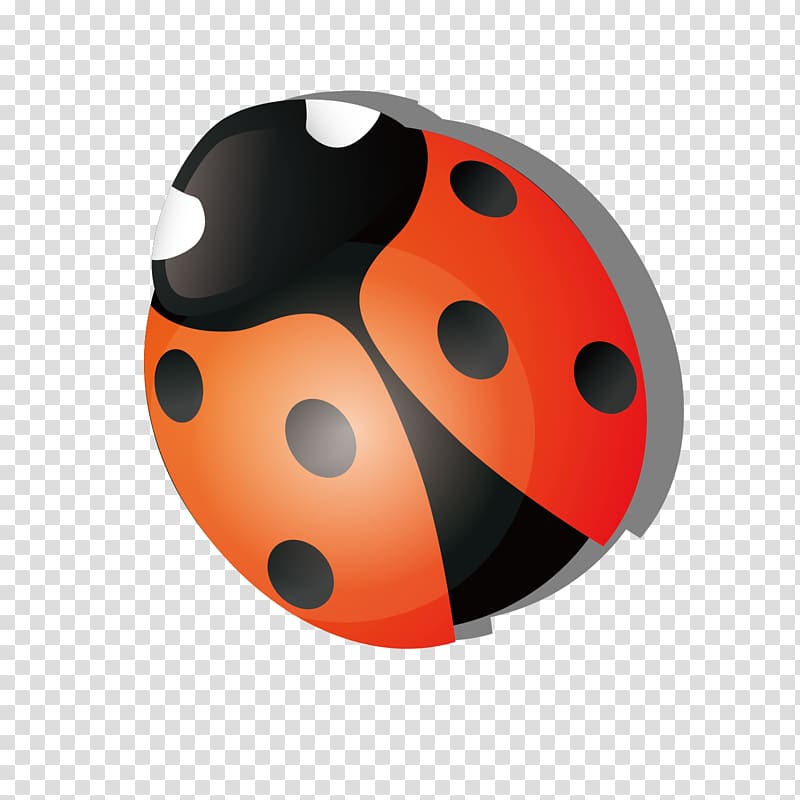 Ladybird Insect Coccinella septempunctata, Red cartoon seven star ladybug transparent background PNG clipart