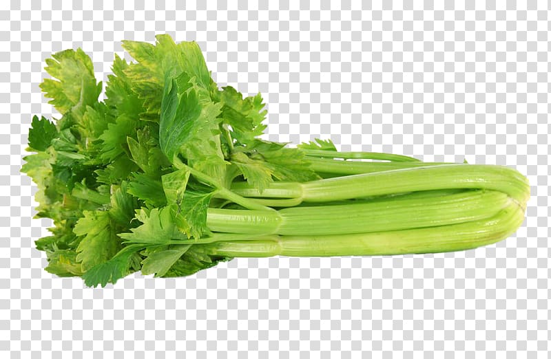 Organic food Celery Leaf vegetable Plant stem, vegetable transparent background PNG clipart