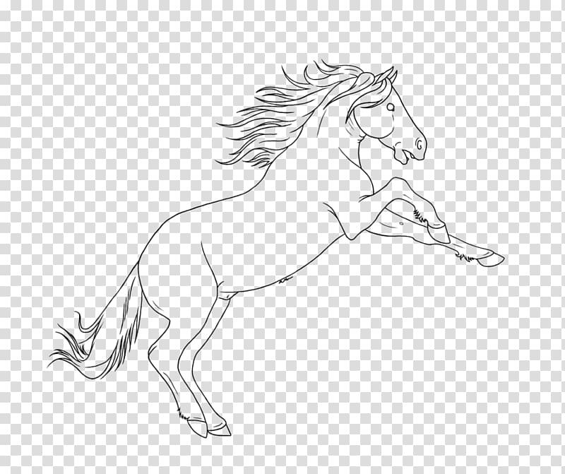 Mustang Brumby Pony Drawing Sketch, mustang transparent background PNG clipart