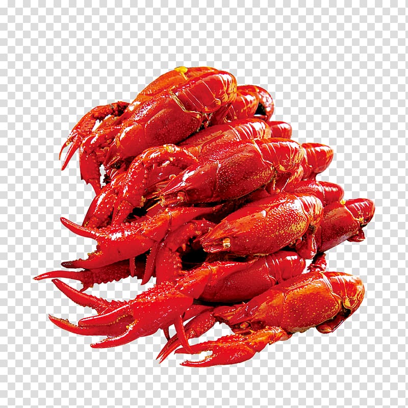 Xuyi County Lobster Palinurus elephas Seafood, Red Lobster Food transparent background PNG clipart