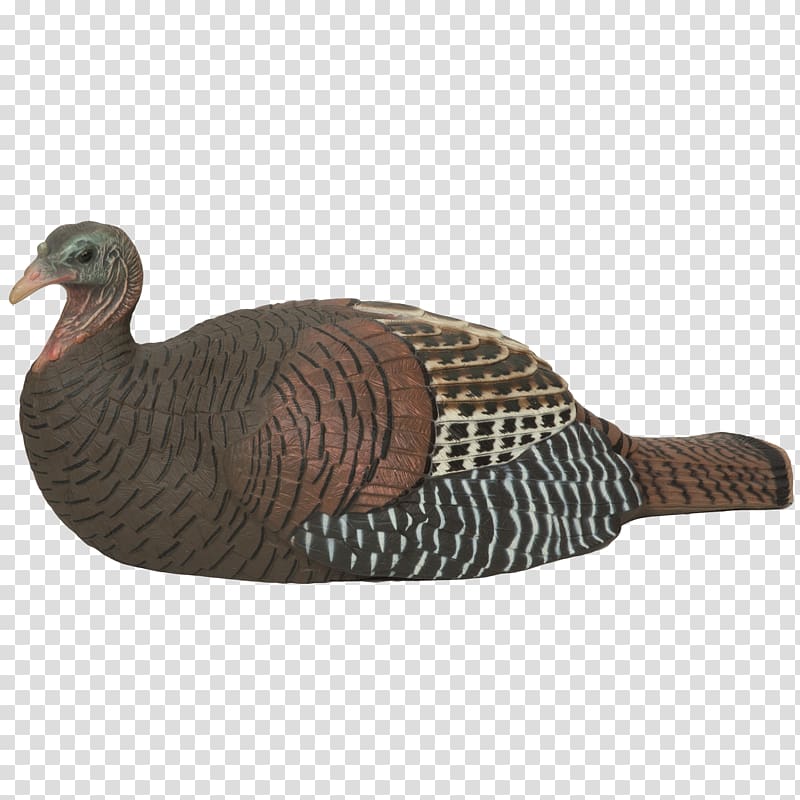 Chicken Turkey Decoy Duck Hen, hen transparent background PNG clipart