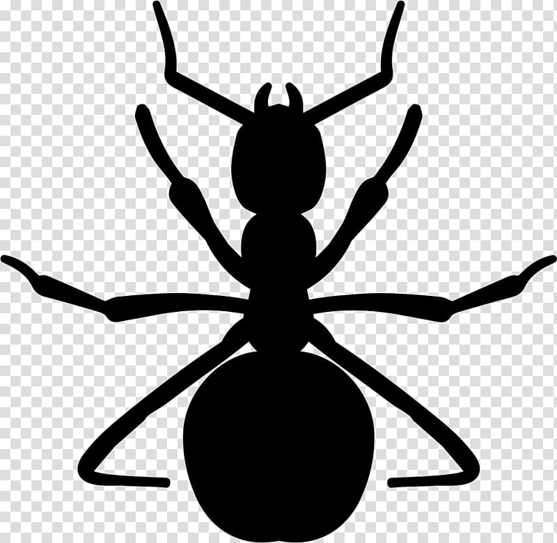Ant Insect Arthropod graphics, insect transparent background PNG clipart