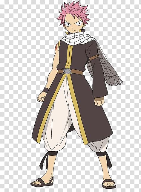 Natsu Dragneel Costume Lucy Heartfilia Fairy Tail Anime, fairy tail characters transparent background PNG clipart