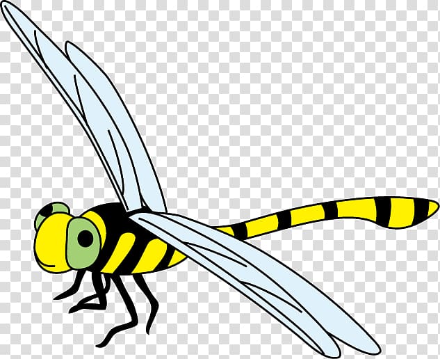 Insect Dragonfly , insect transparent background PNG clipart