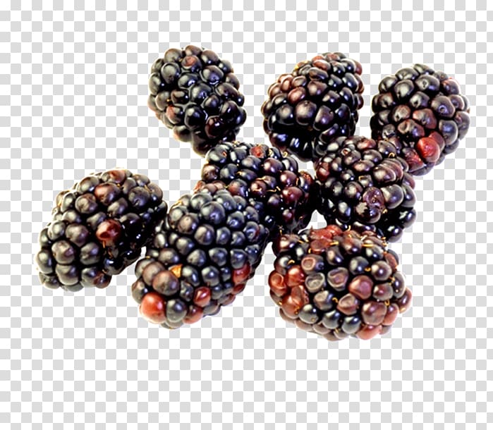 Boysenberry Cheesecake Raspberry Blackberry, raspberry transparent background PNG clipart