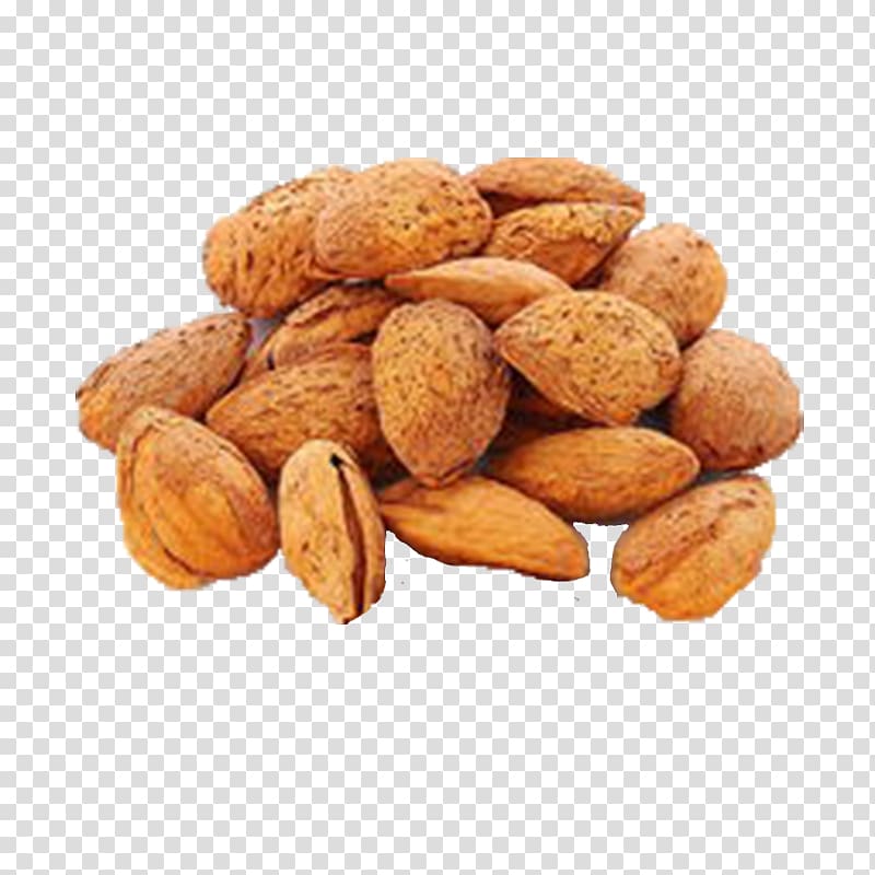 Apricot kernel Almond Food Peel Candied fruit, Almond butter sweet almond shell transparent background PNG clipart