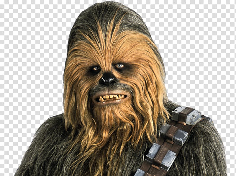 Chewbacca Anakin Skywalker Han Solo Obi-Wan Kenobi Luke Skywalker, chewbacca transparent background PNG clipart