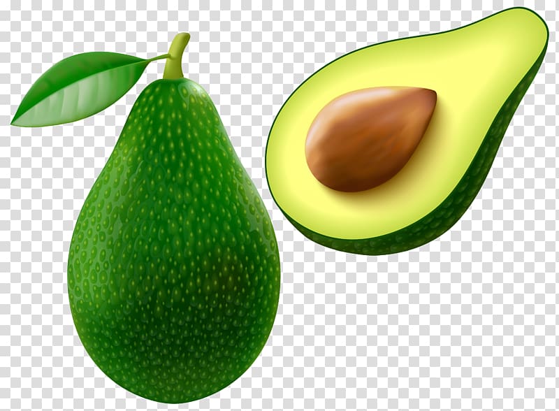 Avocado , Avocado , avocado fruit illustration transparent background PNG clipart