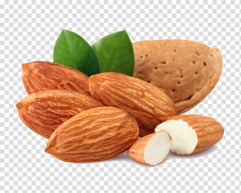 Almond Nut Dried Fruit , Almond transparent background PNG clipart