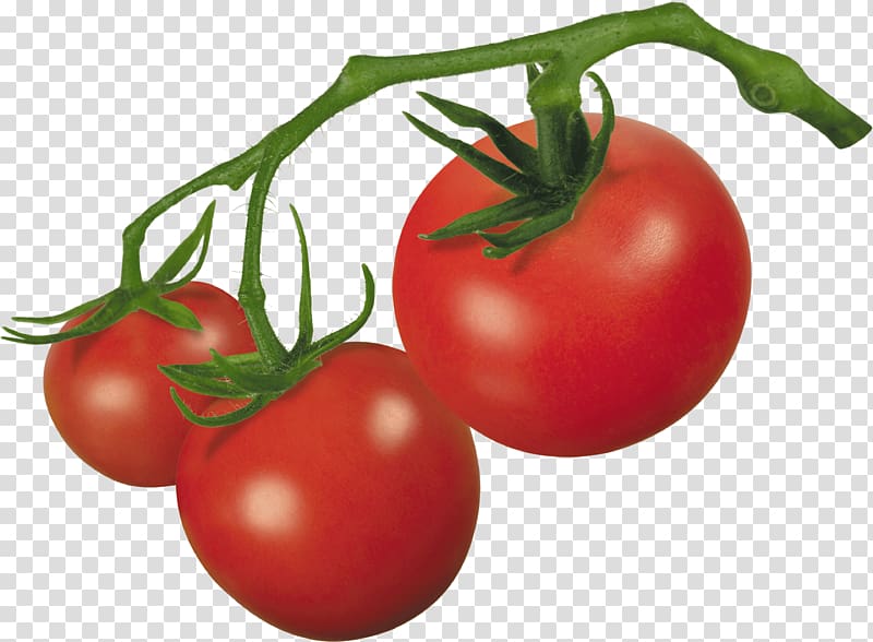 Cherry tomato Roma tomato , Tomato transparent background PNG clipart