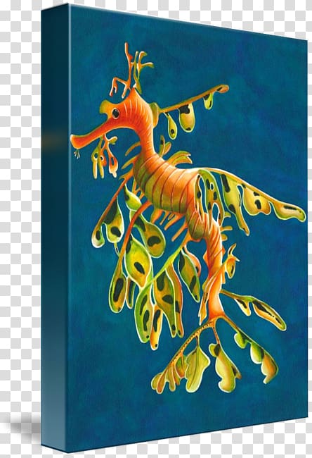 Seahorse Graphic design Leafy seadragon Syngnathidae, Water garden transparent background PNG clipart