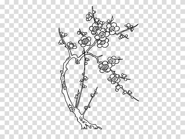Paper Drawing Line art Cherry blossom, Plum flower transparent background PNG clipart
