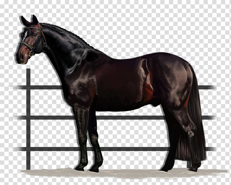 American Quarter Horse American Paint Horse Stallion Doc Bar Cutting, fat man transparent background PNG clipart