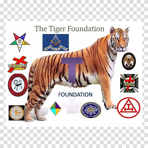 Tiger Royal Arch Masonry Holy Royal Arch Big cat, siberian tiger transparent background PNG clipart