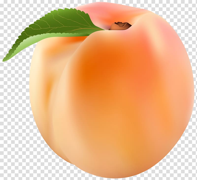 Peach , Peach transparent background PNG clipart