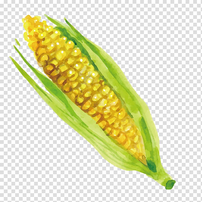 Corn on the cob Greatest Grains Maize Meal Corn kernel, Delicious corn transparent background PNG clipart