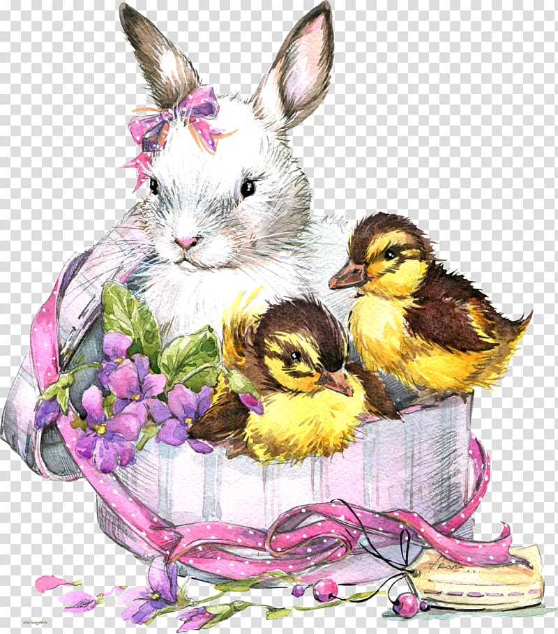 Domestic rabbit Easter Bunny Hare Bird, Bird transparent background PNG clipart