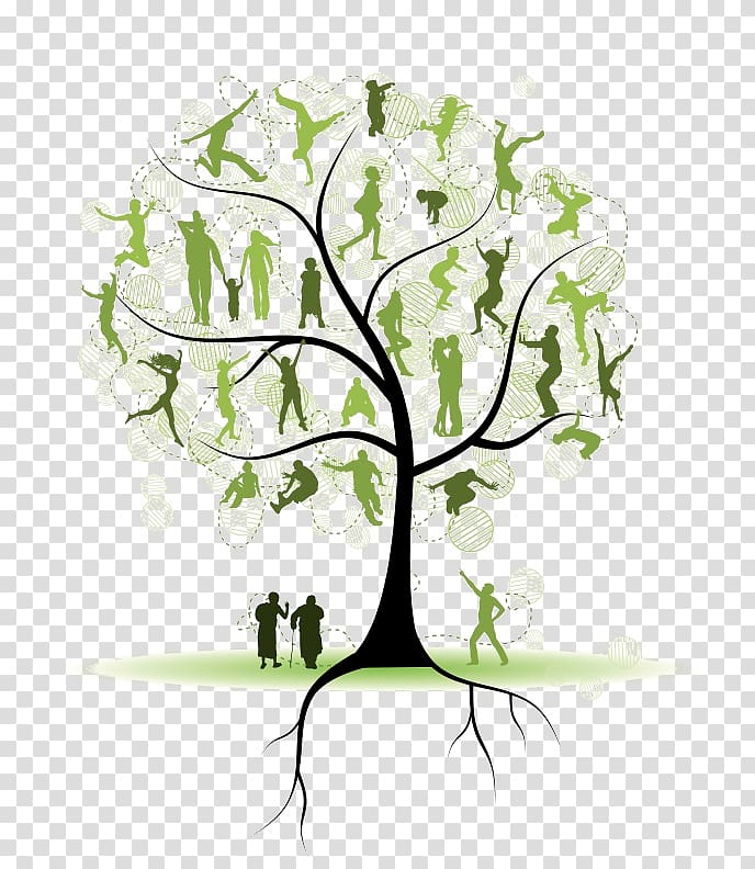 Family Tree Clipart Transparent Background - FamilyScopes