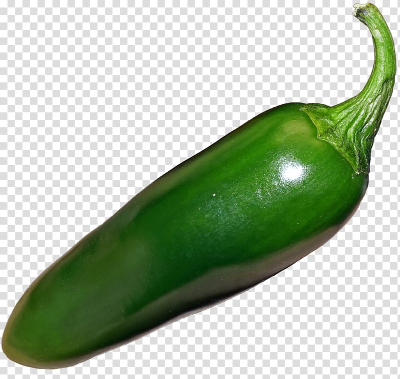 Jalapeño Habanero Bell pepper Serrano pepper Poblano, jalapeno peppers transparent background PNG clipart