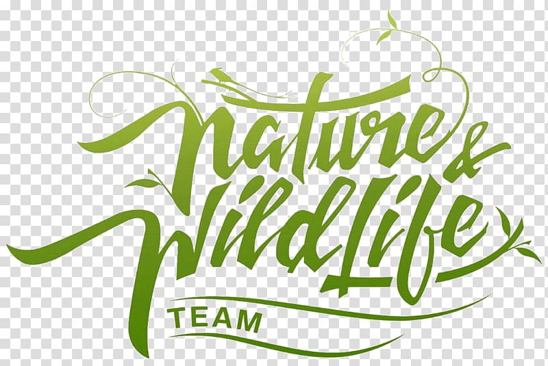Avondae Technologies Pvt Ltd Nature Wildlife, others transparent background PNG clipart