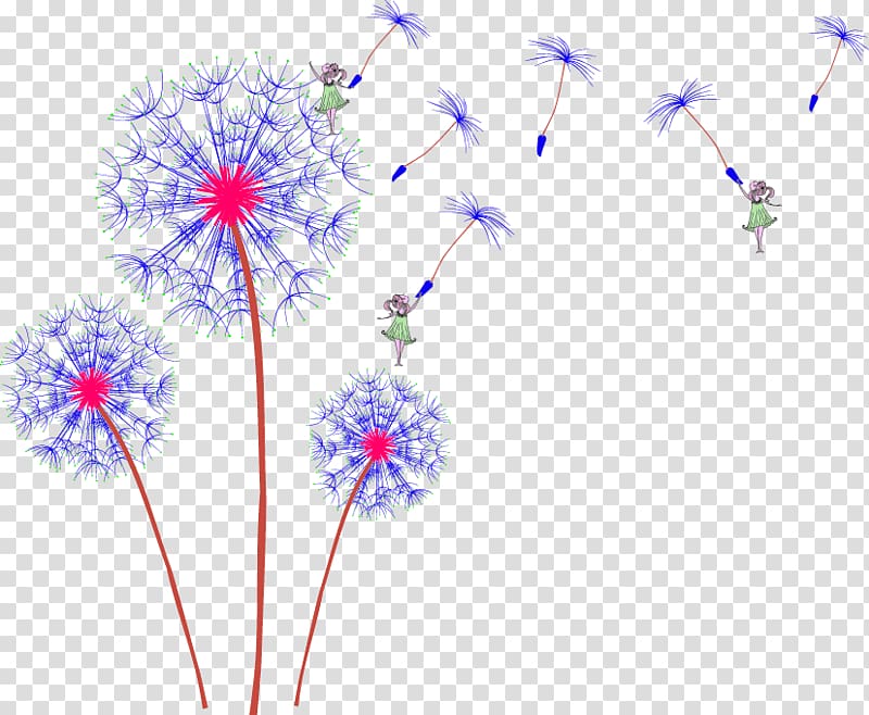 Common Dandelion Gratis, Dandelion transparent background PNG clipart