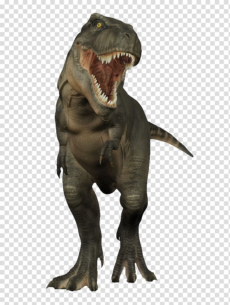 gray T-rex illustration, Tyrannosaurus rex Dinosaur 3D modeling 3D computer graphics, Sharp roar Rex transparent background PNG clipart