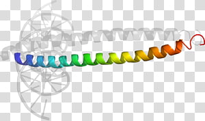 Body Jewellery , Jewellery transparent background PNG clipart thumbnail