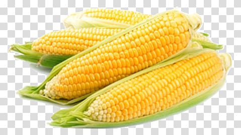 Corn on the cob Organic food Sweet corn Maize Candy corn, popcorn transparent background PNG clipart