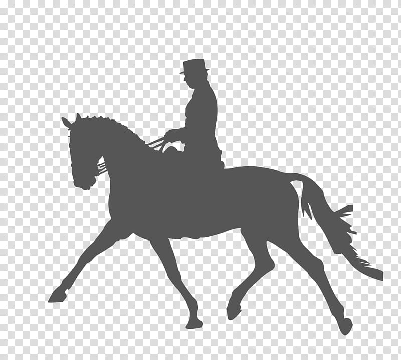 Horse Equestrianism Dressage Silhouette , horse riding,Sketch transparent background PNG clipart