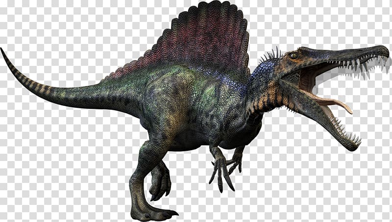 Spinosaurus Tyrannosaurus Giganotosaurus Carnivores: Dinosaur Hunter Carcharodontosaurus, animal claws transparent background PNG clipart