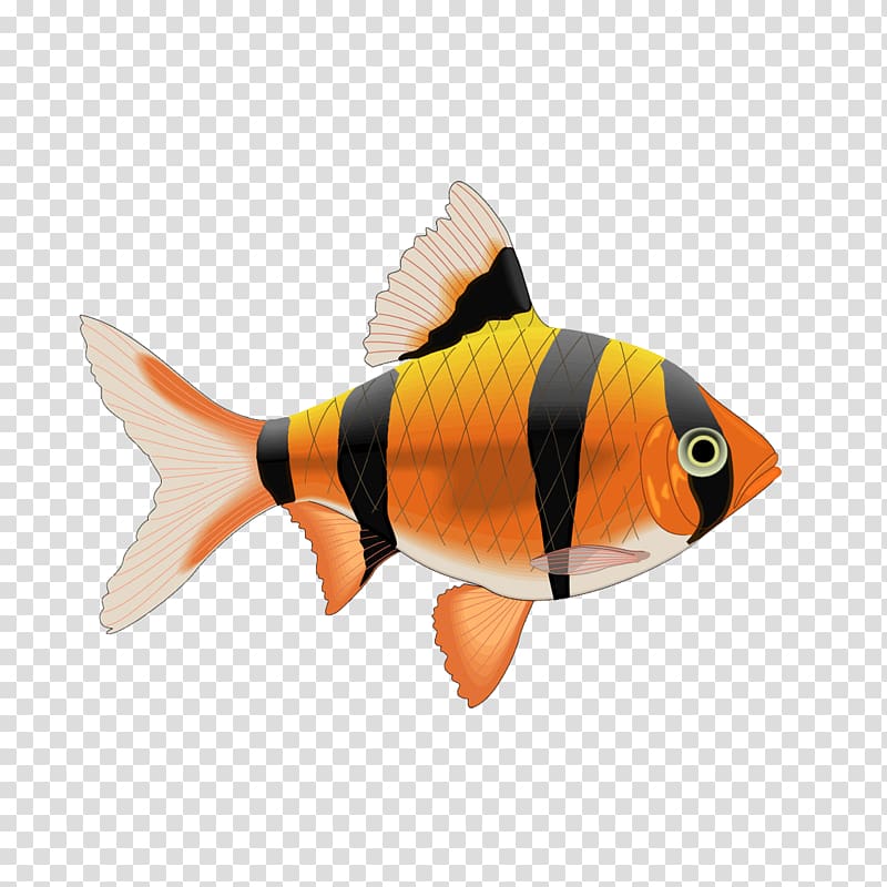 Tropical fish Tile Tigerfish Decal, fish transparent background PNG clipart