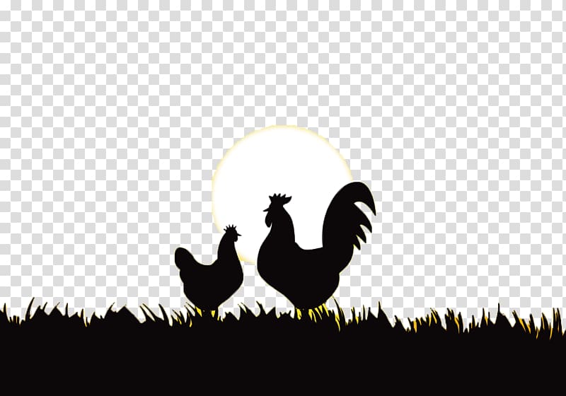 Rooster Chicken Silhouette, sunrise transparent background PNG clipart