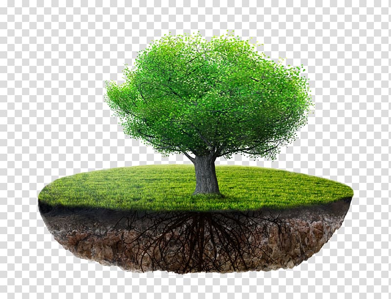 floating island transparent background PNG clipart